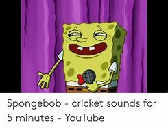 Image result for Cricket Noises Meme