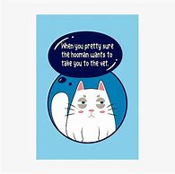 Image result for White Cat Meme