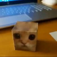 Image result for Cat Meme Cut Out