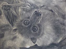 Image result for Fruit Bat Painting