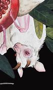 Image result for Albino Fruit Bat Sketch