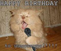 Image result for Happy Birthday Kitten Meme