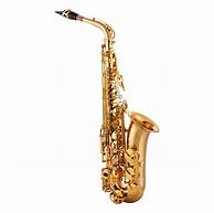 Image result for Saxophone Instrument