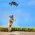 Image result for Drone Animal