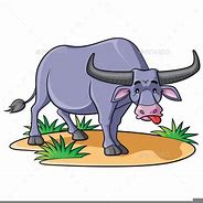 Image result for Carabao Clip Art