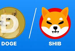 Image result for Doge vs Shiba