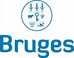 Image result for Ostend-Bruges Logo