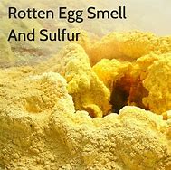 Image result for The Rotten Smell of the Entities That Murmur