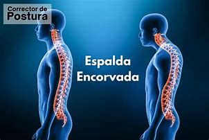 Image result for encorvada