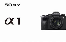 Image result for Sony Ilce-1