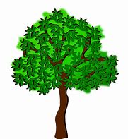 Image result for Did You Know Clip Art Trees