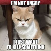 Image result for I'm Not Angry Meme
