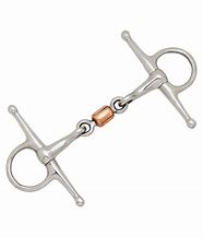 Image result for Snaffle Bit On Horse