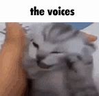 Image result for The Voices Are so Loud Meme