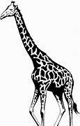 Image result for Free Wild Animals Clip Art Black and White