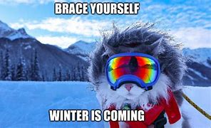 Image result for Snow Is Coming Meme