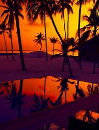 Image result for Amazon Kindle Fire Beach Wallpaper