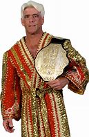 Image result for Ric Flair Championship