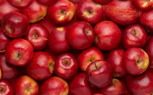 Image result for Apple Fruit Jpg