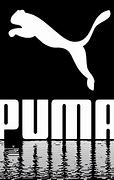 Image result for Puma RS X Release Date