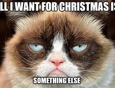 Image result for Angry Cat Christmas Meme