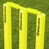 Image result for Cricket Sets Sport