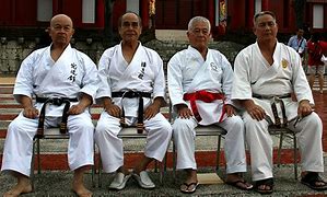 Image result for Okinawan Martial Arts