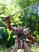 Image result for RG Astray