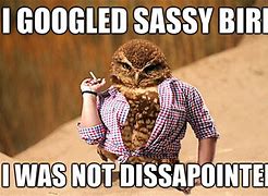 Image result for Funny Sassy
