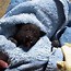 Image result for Baby Bat Banana