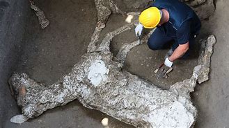 Image result for Pompeii Excavation