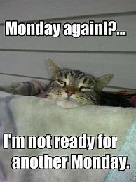 Image result for Monday Has Me Broken