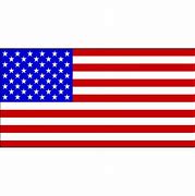 Image result for 1800 US Flag