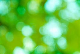 Image result for Background for Photo Green Blur