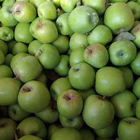 Image result for Plant Starts with Aq and Colour Is Called Green Apple