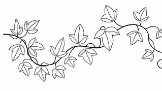 Image result for Ivy Vine Line Drawing