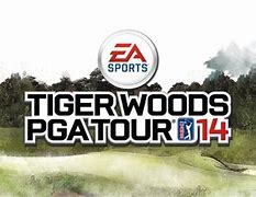 Image result for Tiger Woods PGA Tour 07 PC