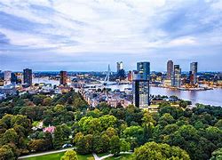 Image result for Biggest Cities in Netherlands