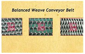 Image result for Wire Mesh Conveyor Belt