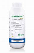 Image result for embate