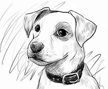 Image result for Dog Sketch