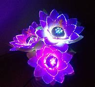 Image result for Fiber Optic Flower Light