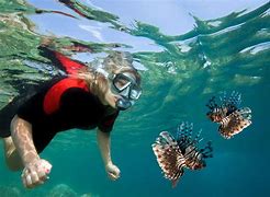 Image result for Tokyo University of Marine Science and Technology