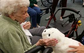 Image result for Robot Pet Study Elderly
