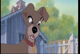 Image result for Lady and the Tramp 2 Disney Screencaps