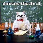 Image result for Google Chromosome Meme