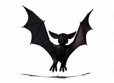 Image result for Bat Cartoon Movie