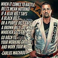 Image result for Jiu Jitsu Sayings