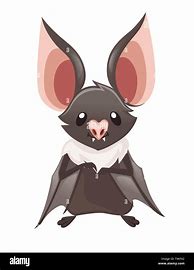 Image result for Funny Cute Cartoon Bats