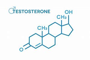 Image result for Testosterona Que ES